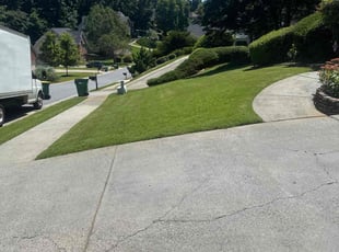 Larry K.'s grass cutting service result