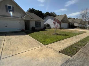 Terri H.'s lawn service service result