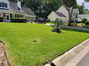 Dixie S.'s turf maintenance service result