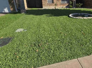 Kim N.'s turf maintenance service result