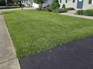 Chris S.'s grass cutting service result
