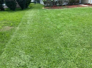 James W.'s lawn maintenance service result