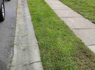 Kevin B.'s lawn maintenance service result