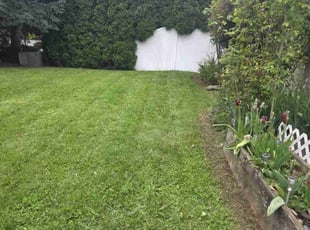 Jeffrey C.'s turf maintenance service result