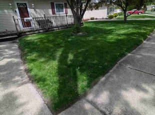 John S.'s lawn maintenance service result