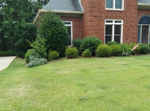 Dawn L.'s yard work service result