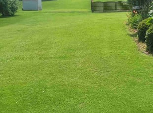 Candance S.'s lawn care services service result