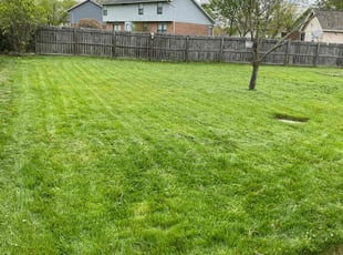 Rose M.'s Cleanups service result