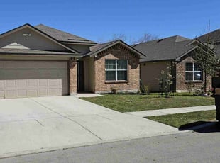 Whitney H.'s turf care service result