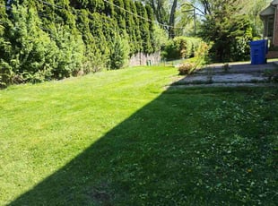 Adam S.'s turf maintenance service result
