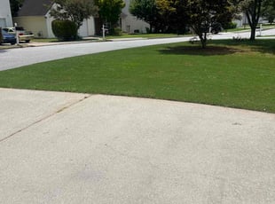 Jeffery C.'s lawn service service result