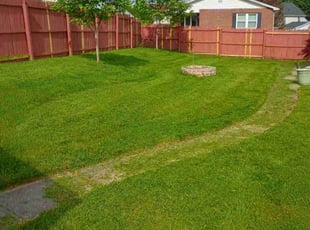 Tenaya T.'s landscaping service result
