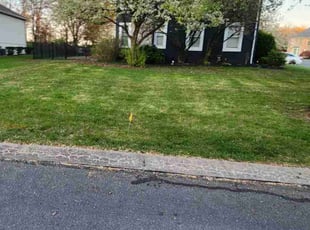 Janet W.'s turf maintenance service result