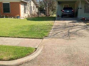 Adrienne C.'s grass cutting service result