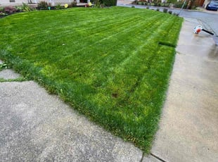 Chris R.'s grass cutting service result