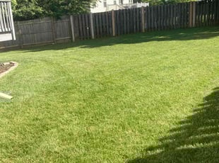 Anna H.'s grass cutting service result