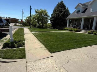 Lisa B.'s grass cutting service result