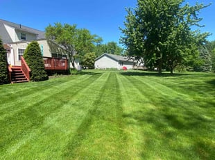 Antrone W.'s turf maintenance service result