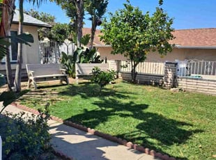 April M.'s turf care service result