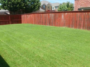 Tina R.'s turf maintenance service result