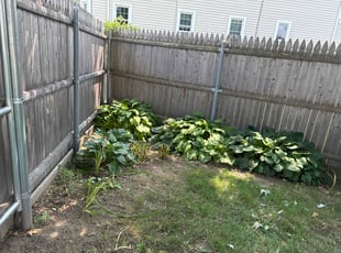 Vickie O.'s Bush Trimming service result