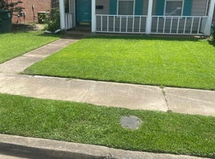 Max L.'s grass cutting service result