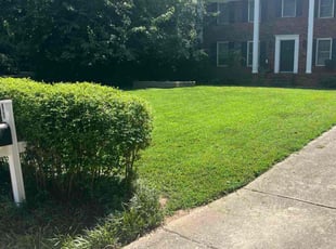 Bre F.'s lawn maintenance service result