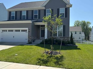 Nicholas T.'s grass maintenance service result