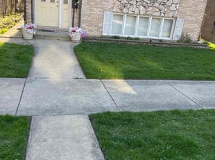 Sherry C.'s turf maintenance service result