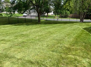 matthew b.'s lawn care services service result