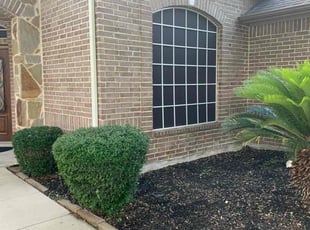 Alva K.'s Bush Trimming service result