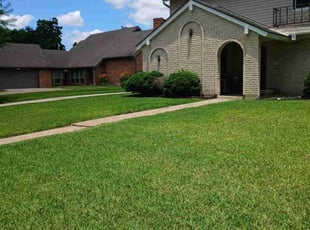 Meghann N.'s lawn service service result