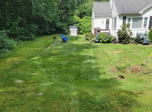 Marva J.'s grass maintenance service result
