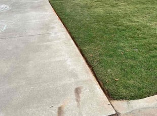Julie S.'s grass maintenance service result