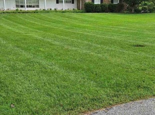 Leland D.'s lawn service service result