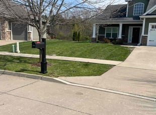 Ken J.'s turf maintenance service result
