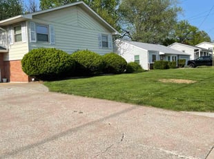 Eva D.'s lawn care services service result