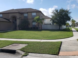 Lori F.'s lawn care service result