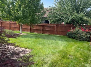 Pam D.'s landscape maintenance service result