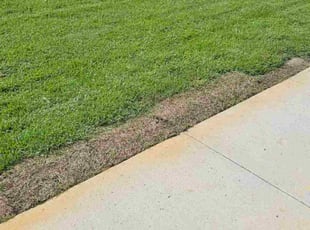 Carl S.'s lawn maintenance service result