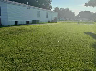 Gabriella B.'s turf care service result
