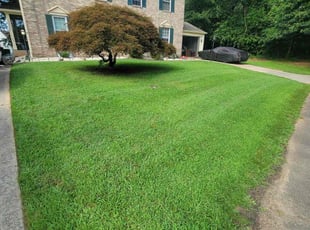 Rosemarie D.'s landscaping services service result