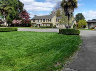 William R.'s turf care service result