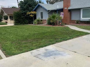 Samantha N.'s lawn care service result