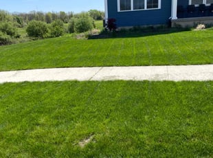 Marilyn C.'s lawn care service result