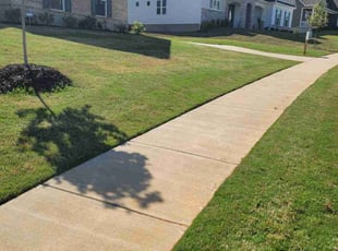 Julian G.'s lawn care service result