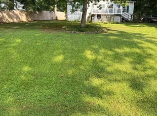 Harley C.'s grass maintenance service result