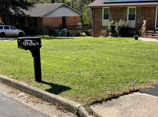 Ben O.'s turf care service result