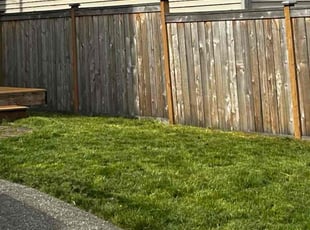 David D.'s Long Grass Cleanup service result