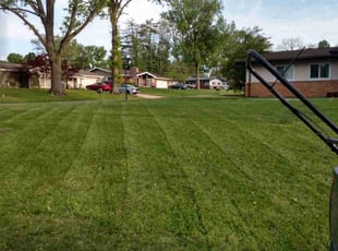 Patrick S.'s grass cutting service result